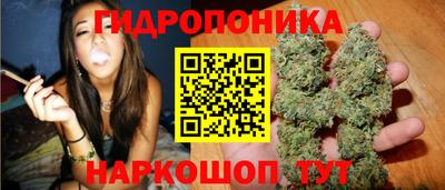 прущие крисы Кингисепп